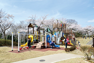 松ヶ岡公園（いわき市）の写真